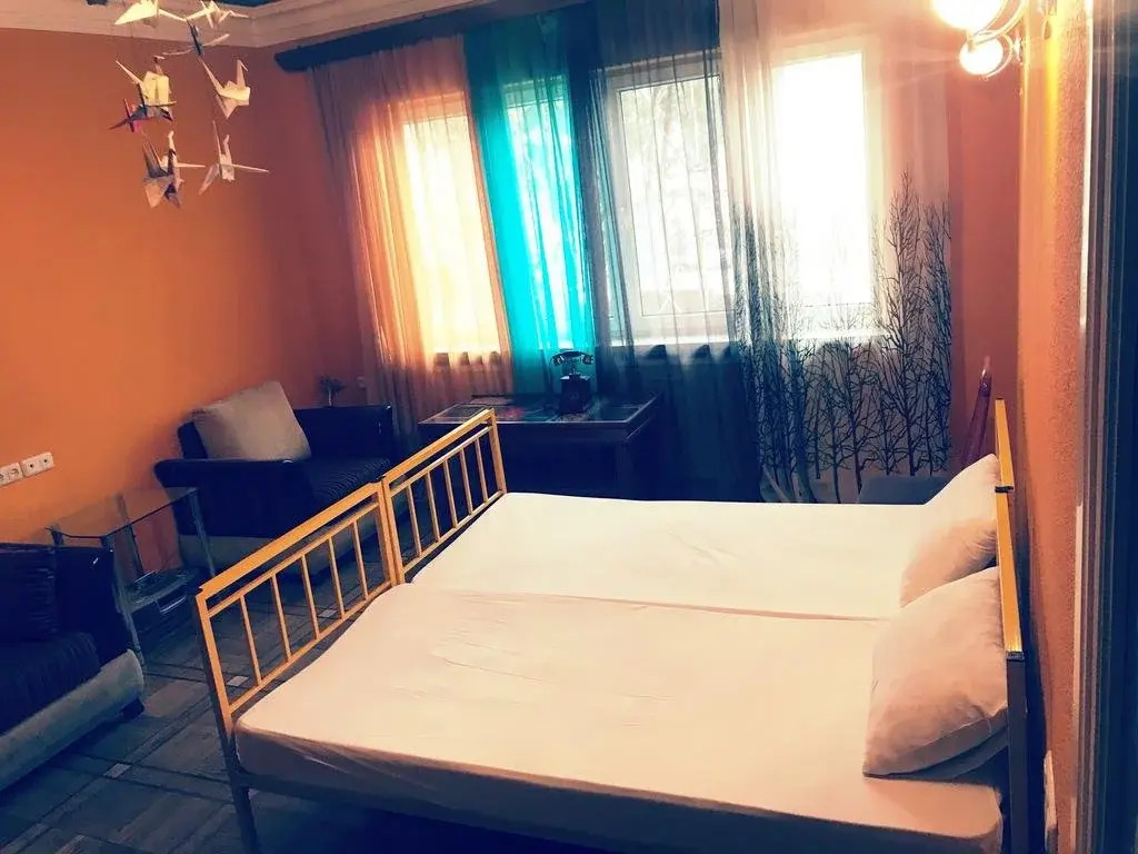 Zebra Hostel & Tours