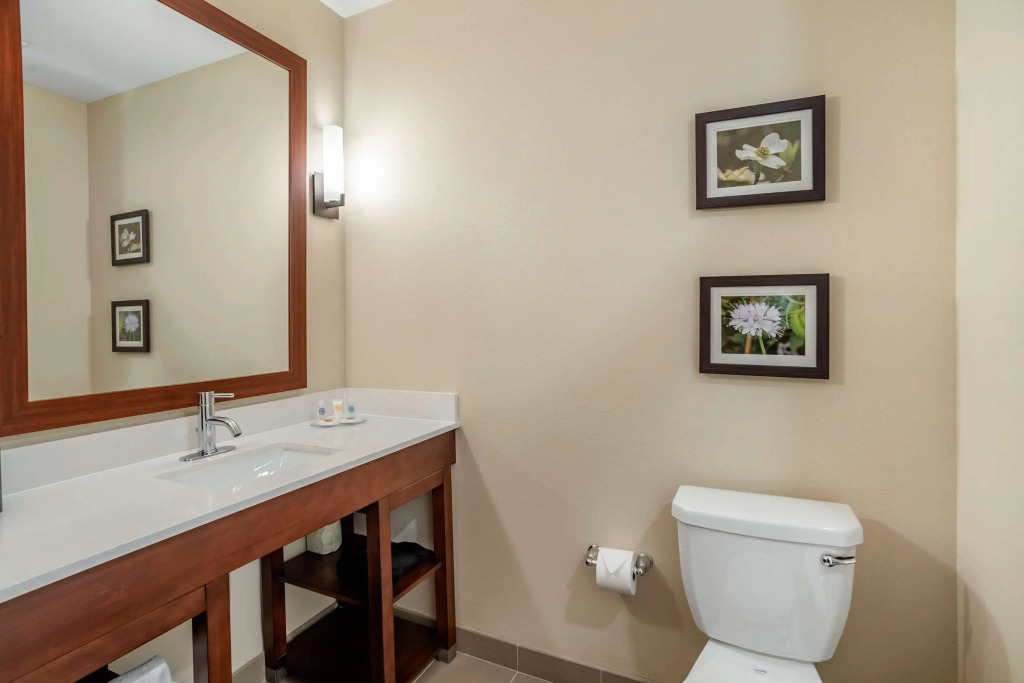 Comfort Inn & Suites Winchester