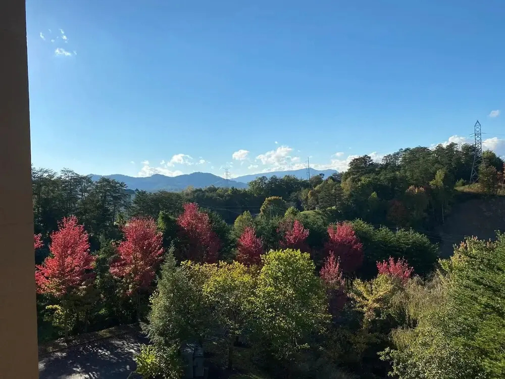 Kc's Condo In Pigeon Forge 2 Bedroom Condo by Redawning