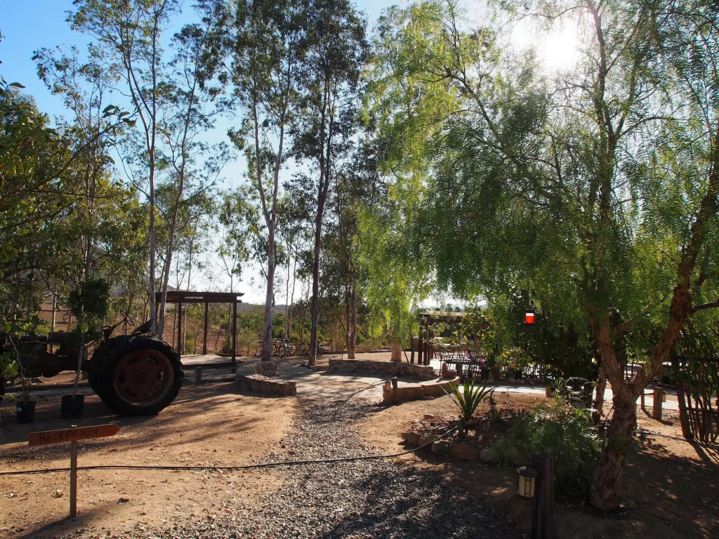 Casa Mayoral B&B Pet friendly