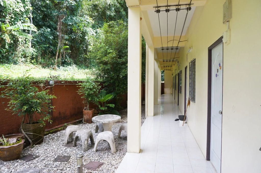 Palmy Home