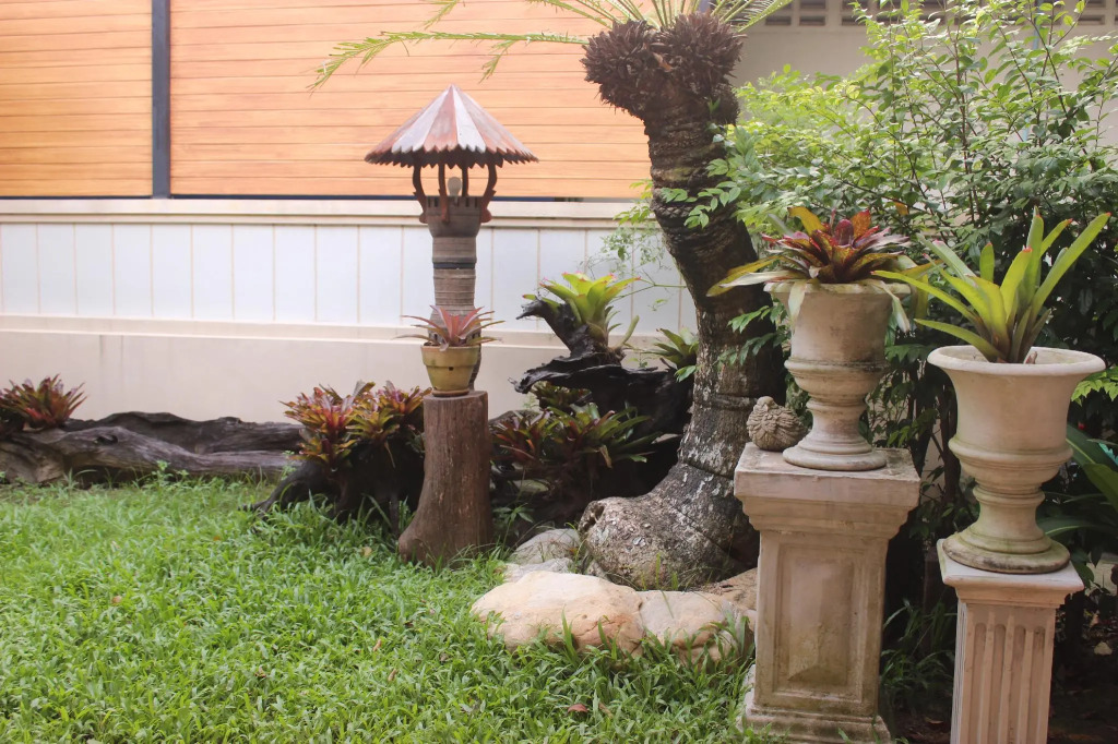 Tree Home Plus