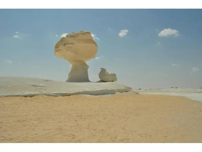 Badry Sahara Camp