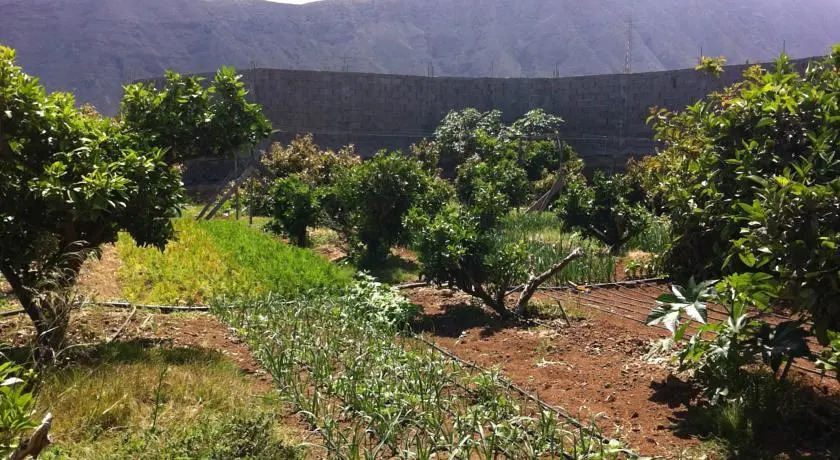 Finca Biologica