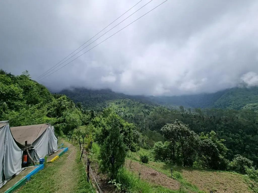 Jungle Live Inn Camps & Resorts