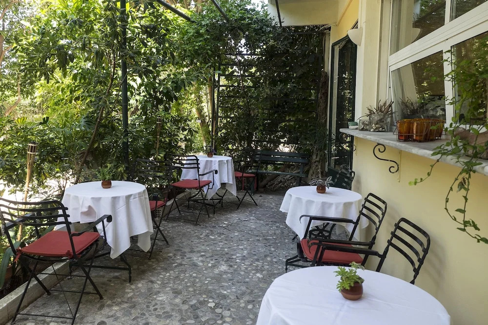 Rex Hotel - Bebekas