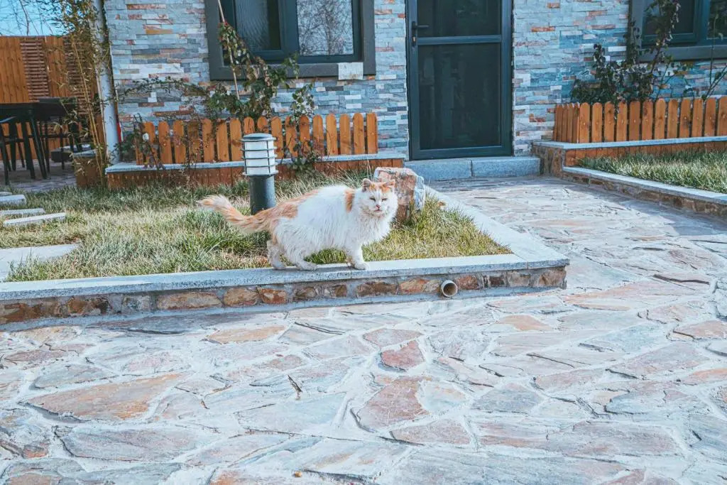 Hidden in the World (Winter Olympic Town) - Crabapple 3 Courtyard