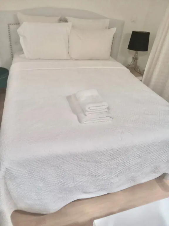 One bedroom flat ground floor avec cuisine -Rue Saint charles - métro Charles Michels 75015 PARIS