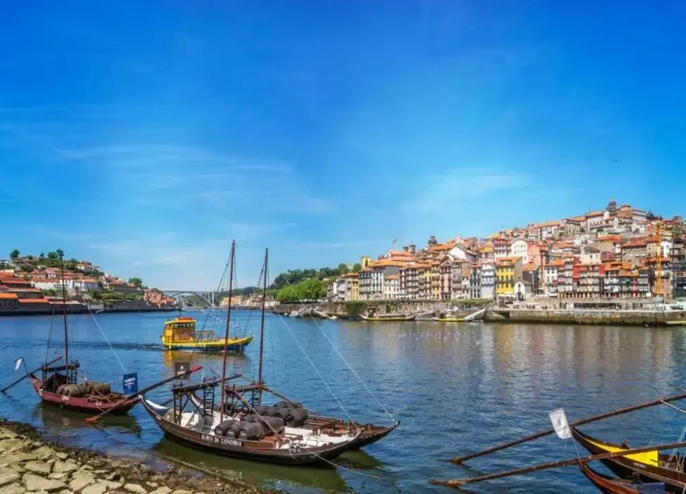 Pet-friendly Apartment in Oporto