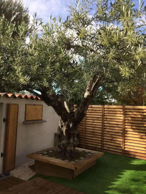 B&B Aux Delices de l'Olivier