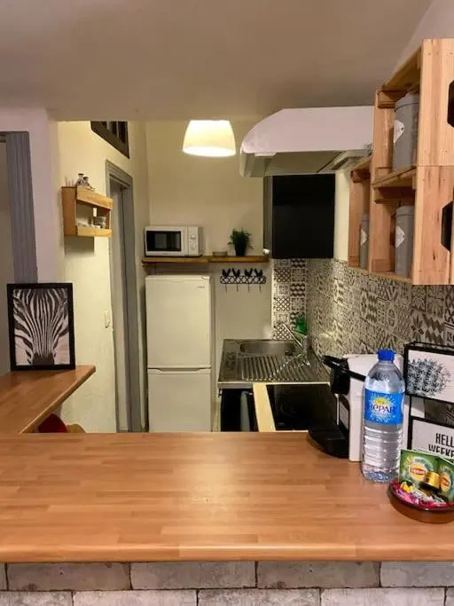 Appartement typique Niçois en plein centre ville