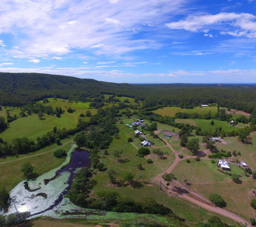 Clarendon Forest Retreat