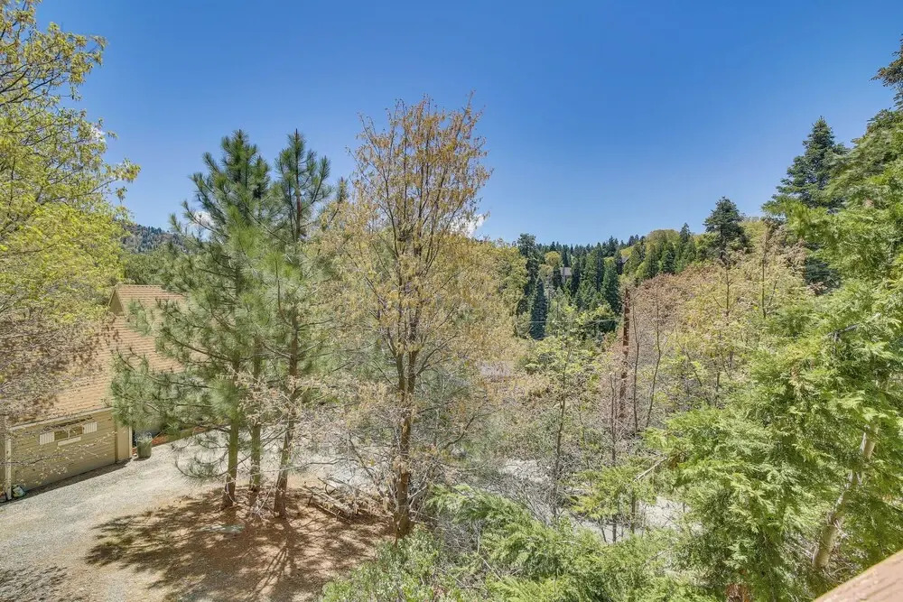 Cedar Glen Cabin  3 Mi to Lake Arrowhead Village!