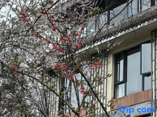 Emeishan Lihao Boutique Homestay (Emei Xueyaya Production Base Store)