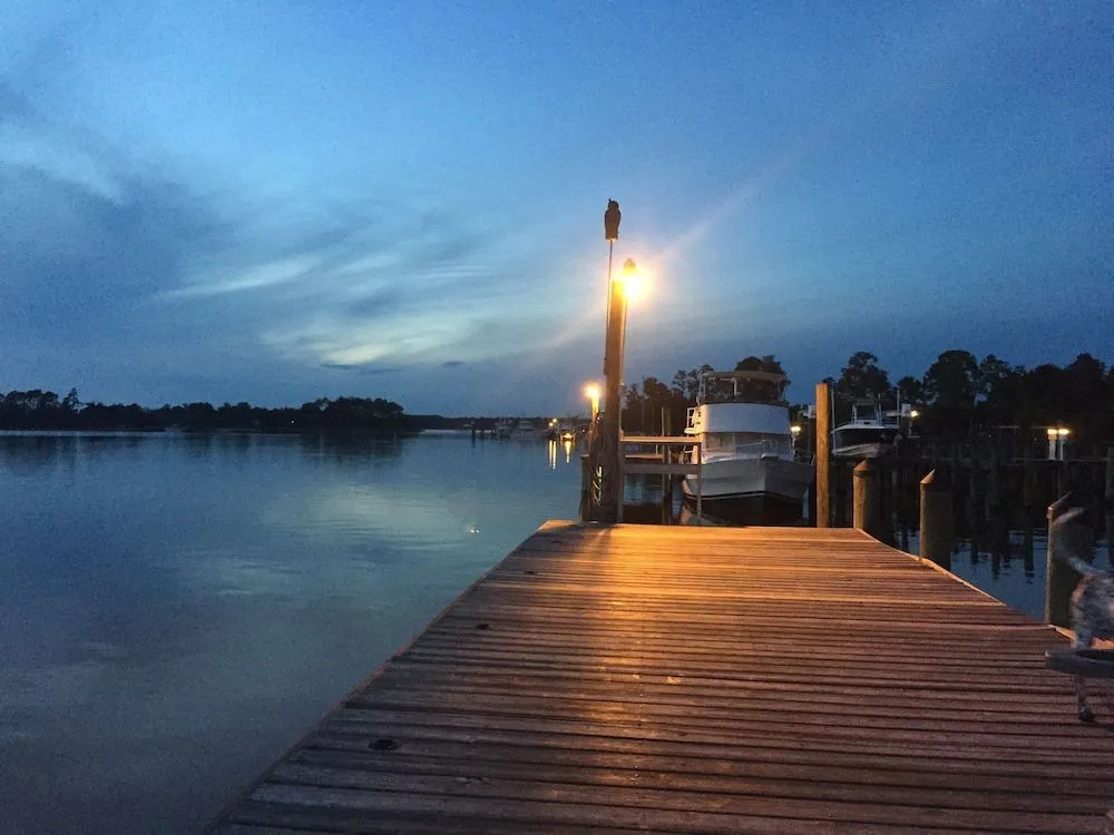 Bay John 304