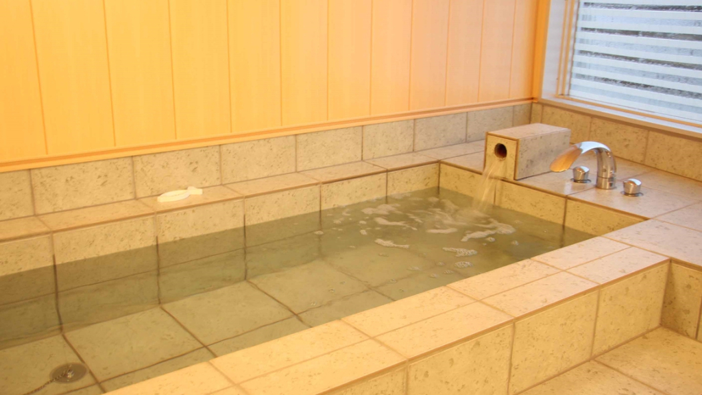 Fukui Central Hotel