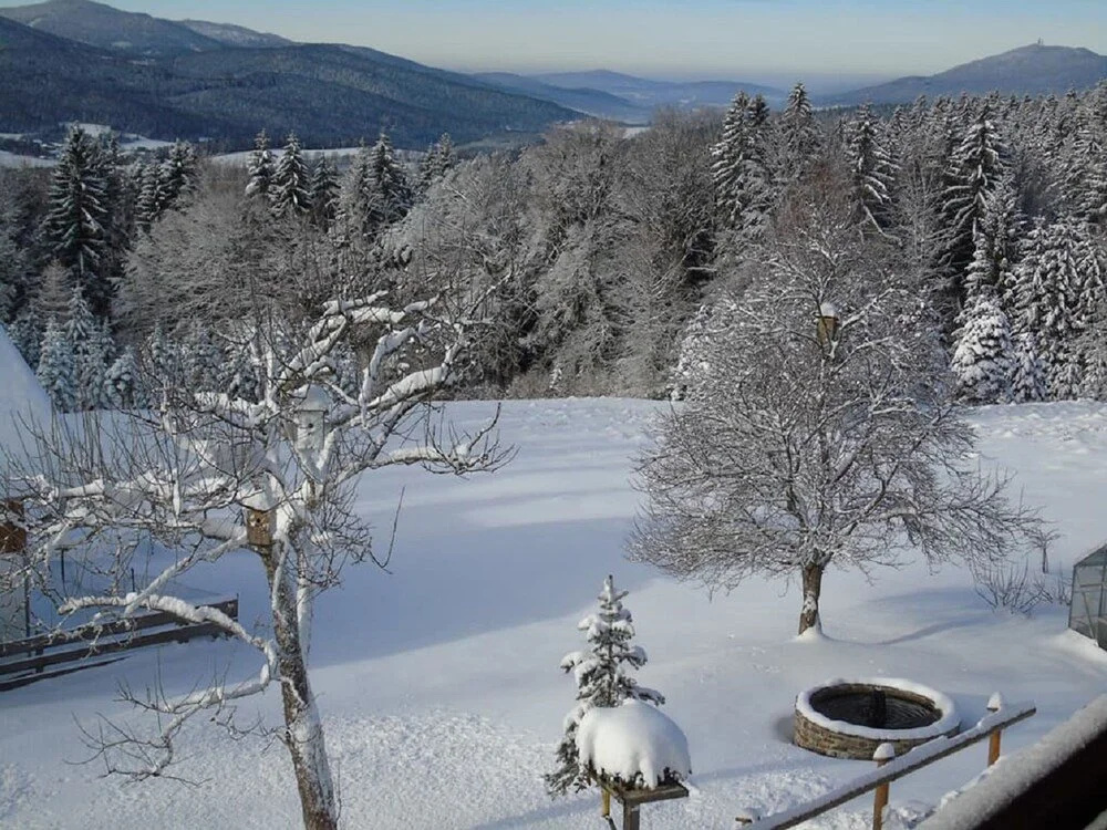 Pension Haus Waldesruh
