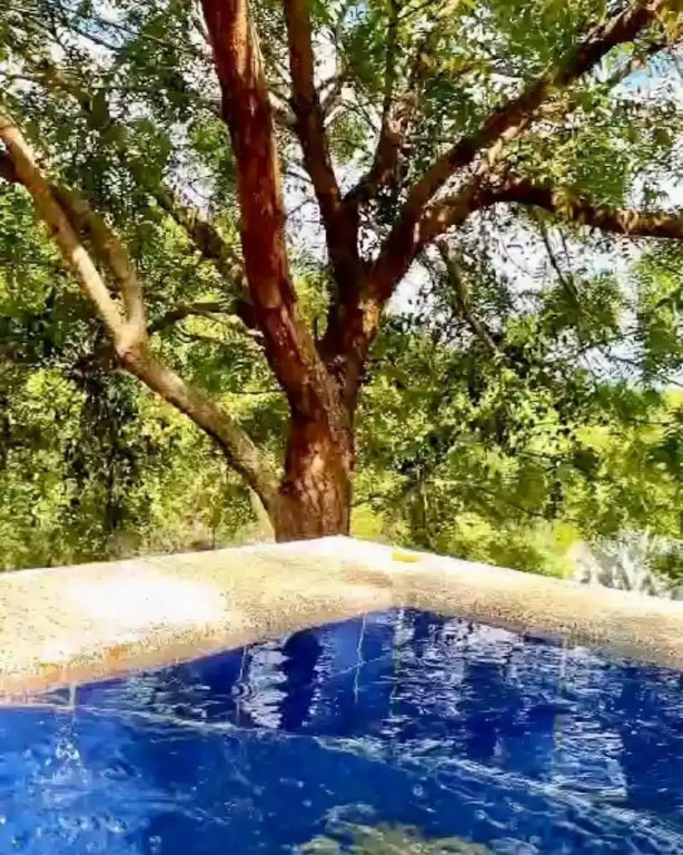 Mangoo Glamping