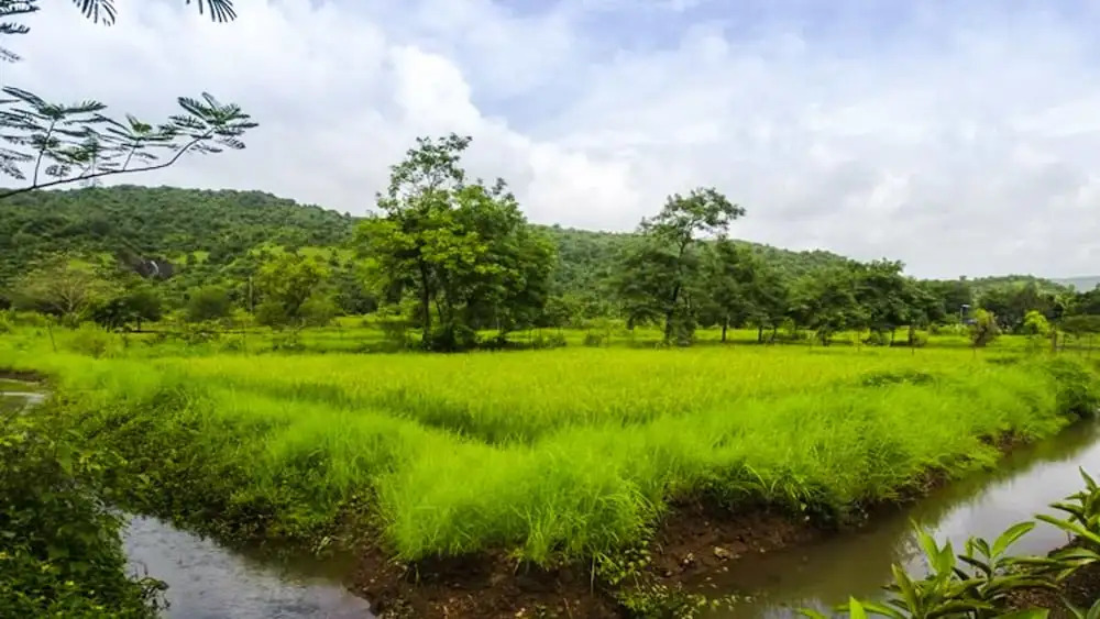 V Resorts Aranya Kashid
