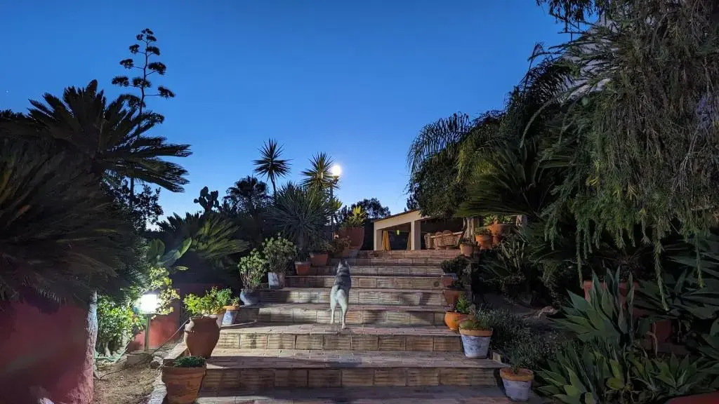 Casa do Palmeiral - Hoom B&B
