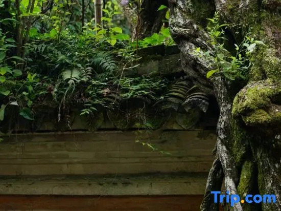 Tiantai Shanqing Homestay