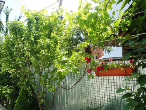У Валентины / Valentina Guest House