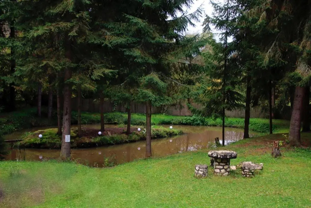 Lake House
