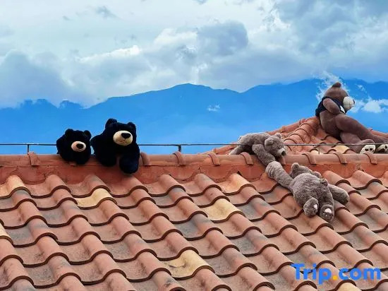 Lisu · Zhenxinghe | Cliffside Sea-view Vacation Homestay in the Clouds