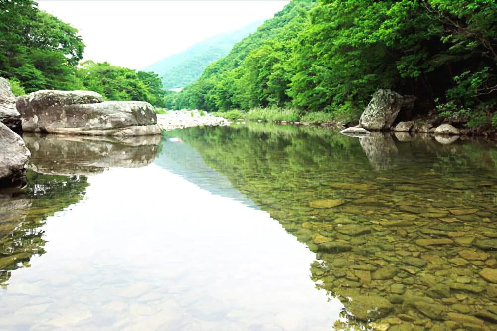 Baenae-gol Mi-ru Pension