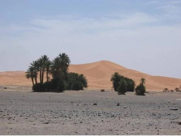 Bivouac Merzouga Experience