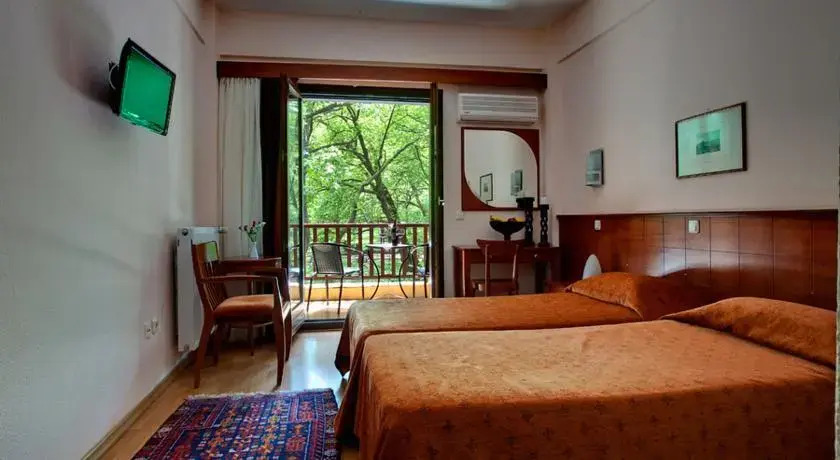 Hotel Vermion