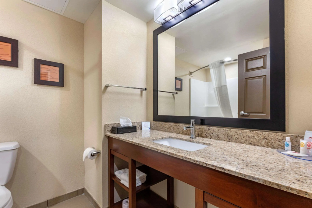 Comfort Inn US Hwy 80