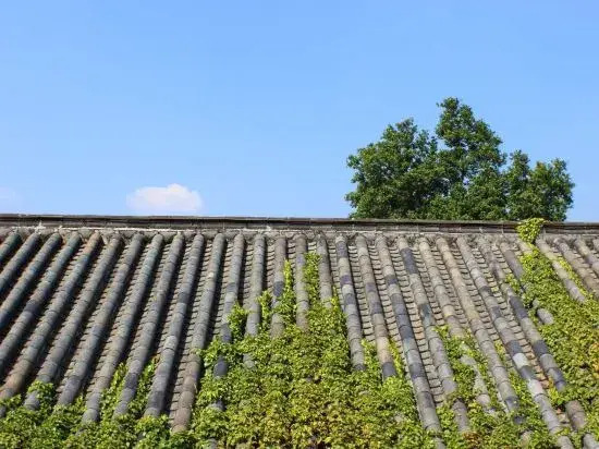 Zhenyangxia Scenic Area Theme Inn