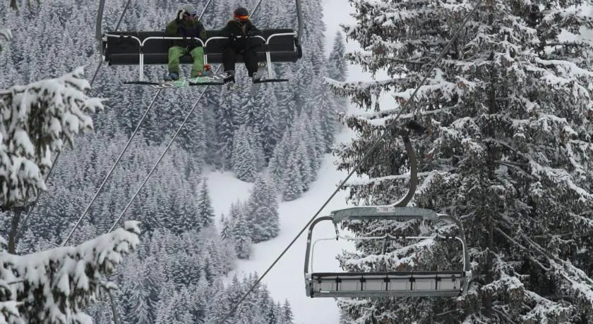 Totally Alpine