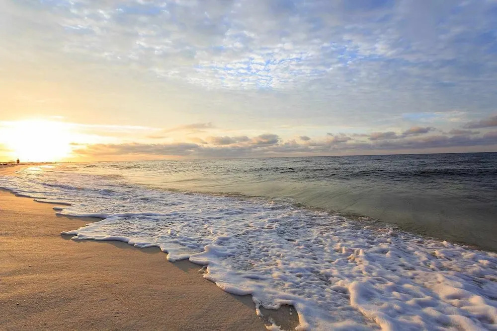 2B 2B Beach Views Best Eats Palmaway