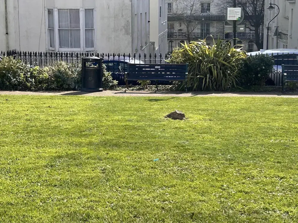 Brighton Beach Stylish 1 Bed Apartment
