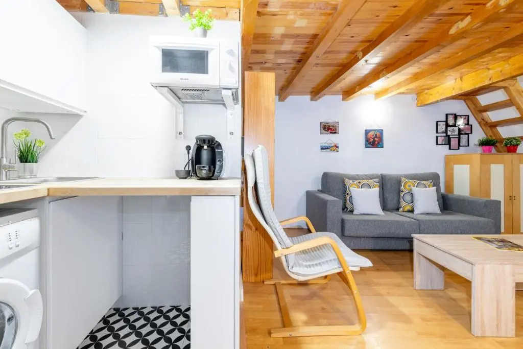 Duplex Lavapies 1BD