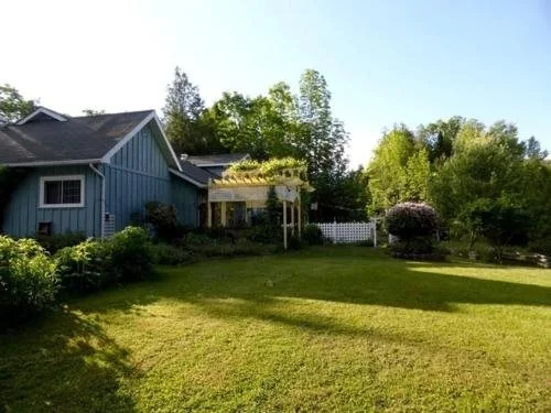The Purple Frog Bed & Breakfast