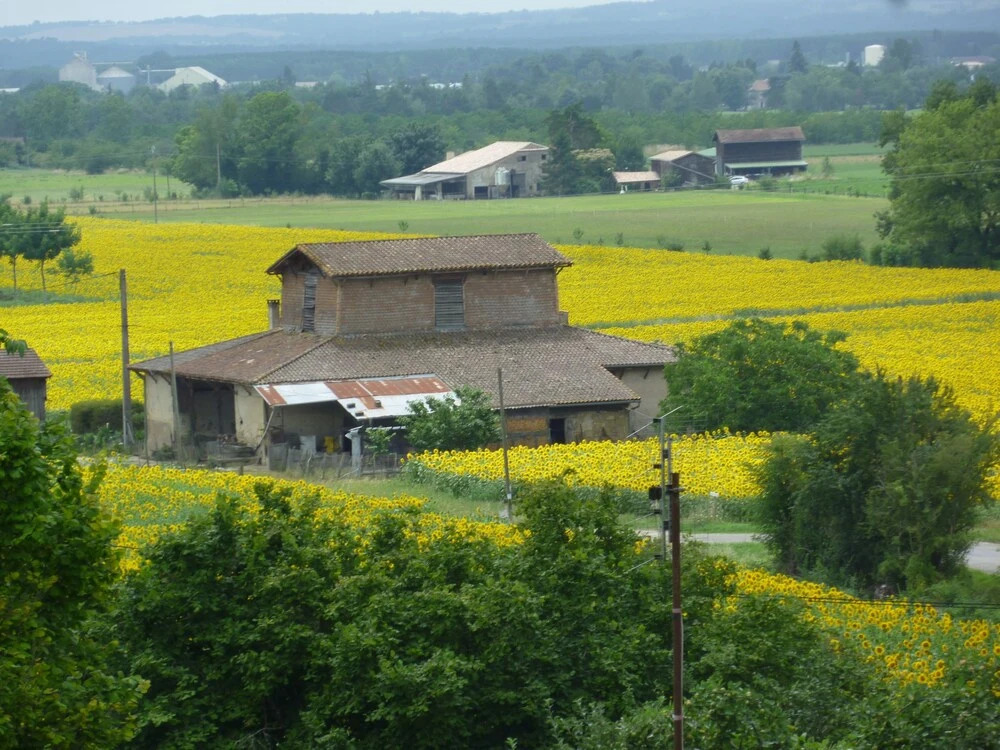 Tour Rouge Gites