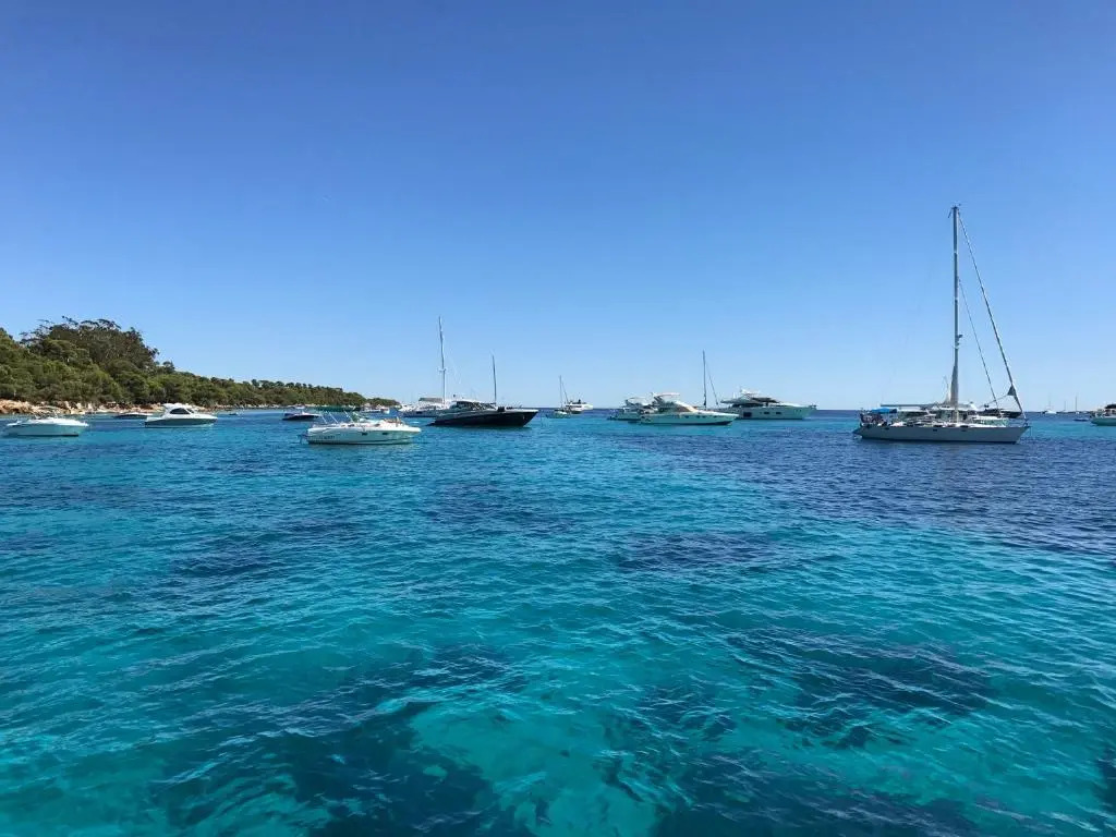 Cannes Catamaran and Special Events