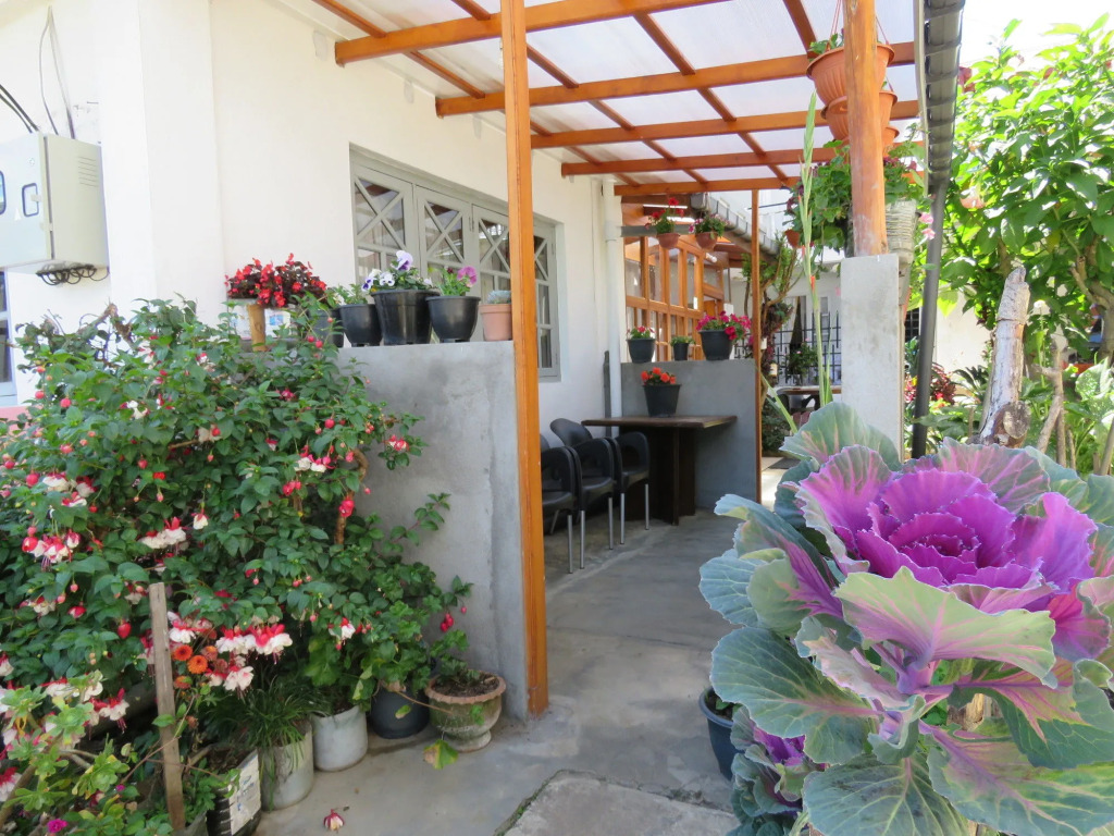 Carnation Rest