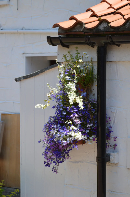 Orchard Lodge