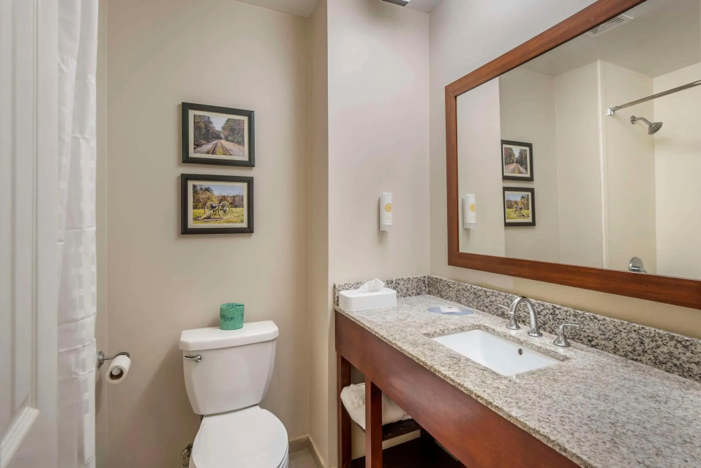 Comfort Inn Petersburg Fort Lee Area