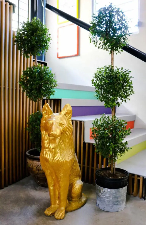 Conturce Hostel