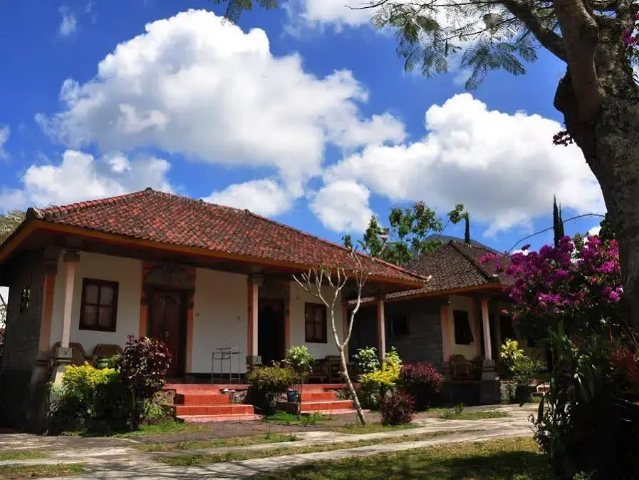 Arlina's Hotel Kintamani by ZUZU
