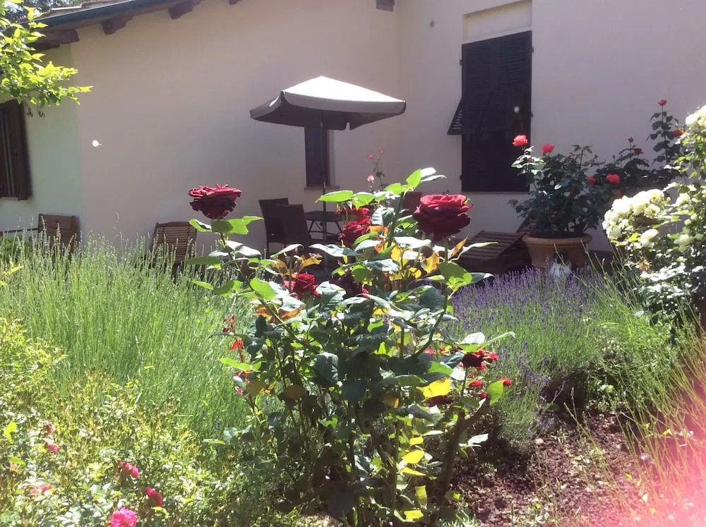 La Primavera B&B