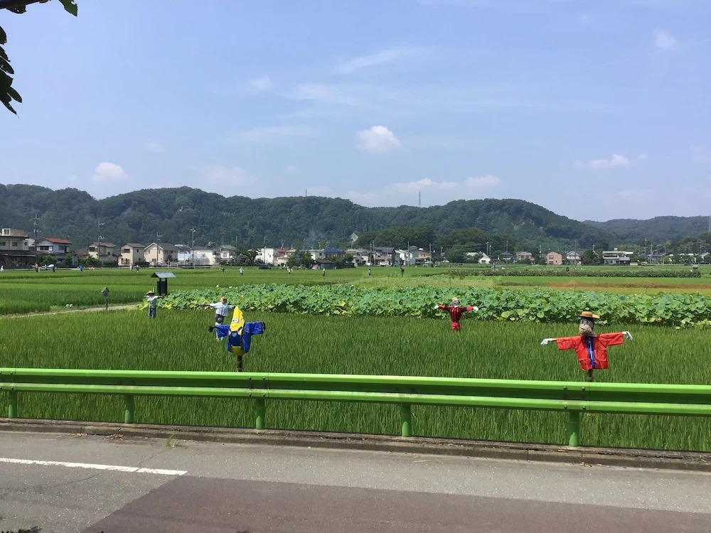 Tamagawa-en
