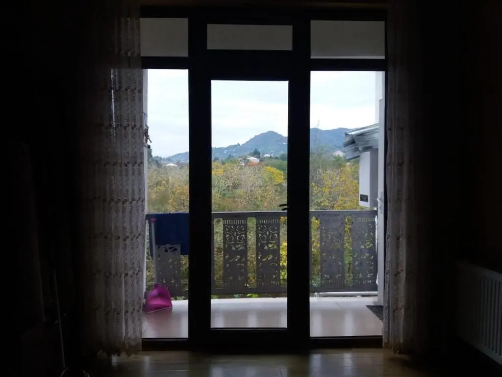 Guets house Chakvi