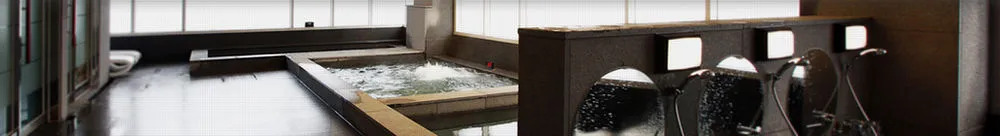 Hotel Biz Inn