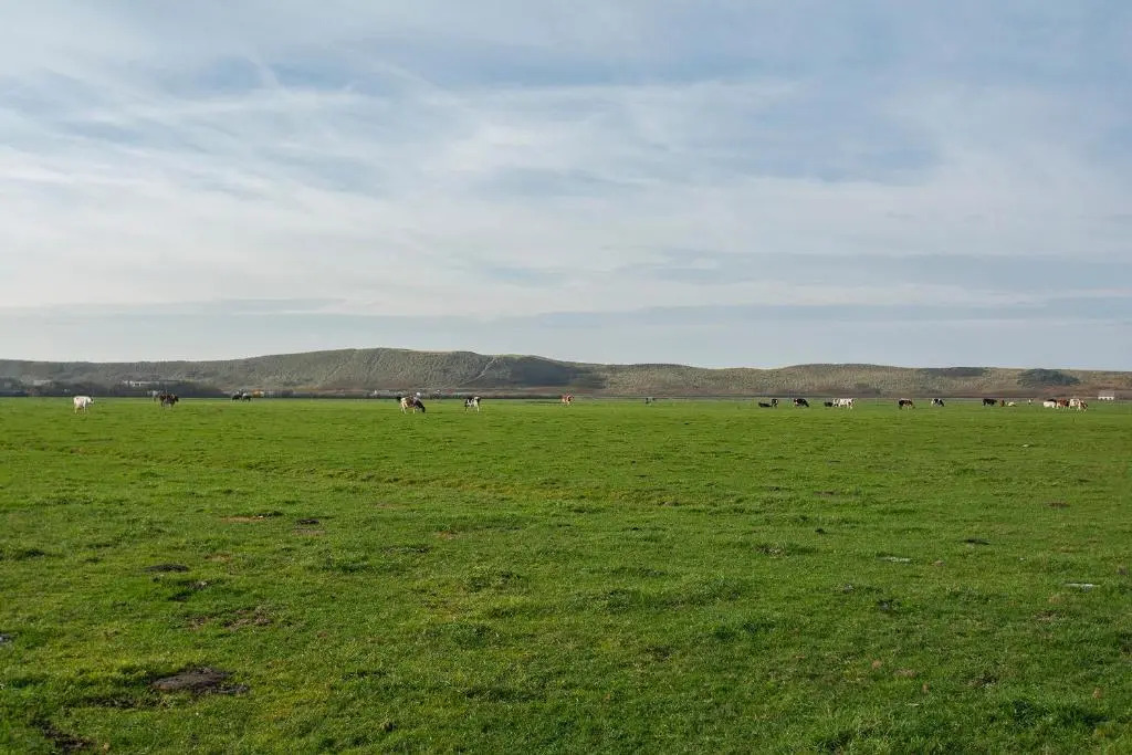 De Blenck 3 Callantsoog
